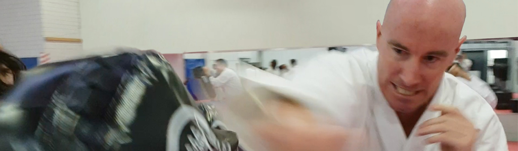 Boxing21024x300 – Perth Martial Arts