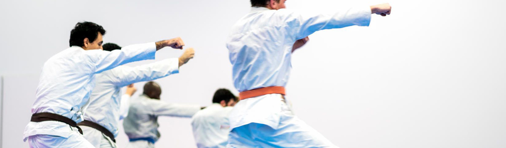 //www.perthmartialarts.com.au/wp-content/uploads/2021/06/Karate-punches-1024x300-1.jpg
