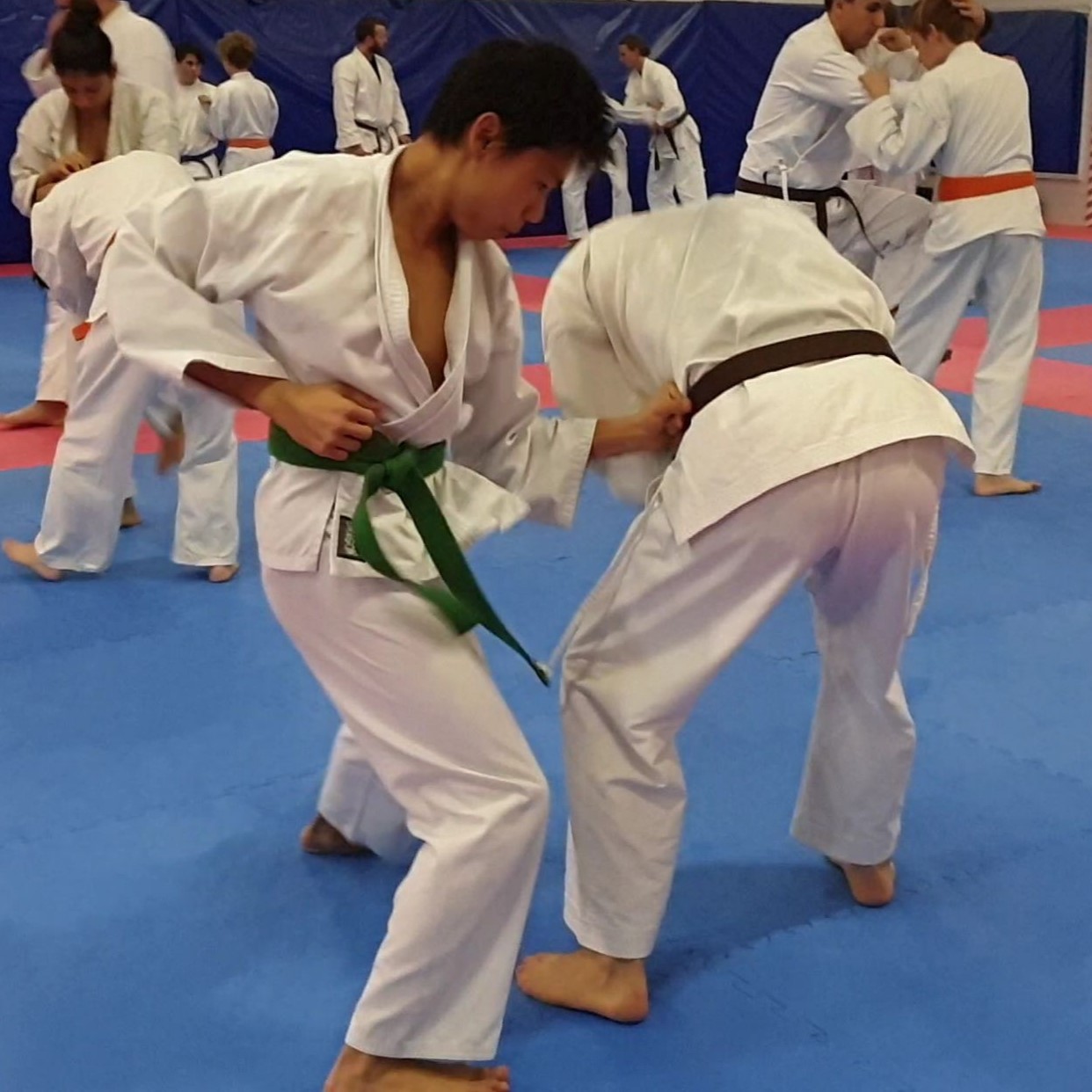 Introductory Courses